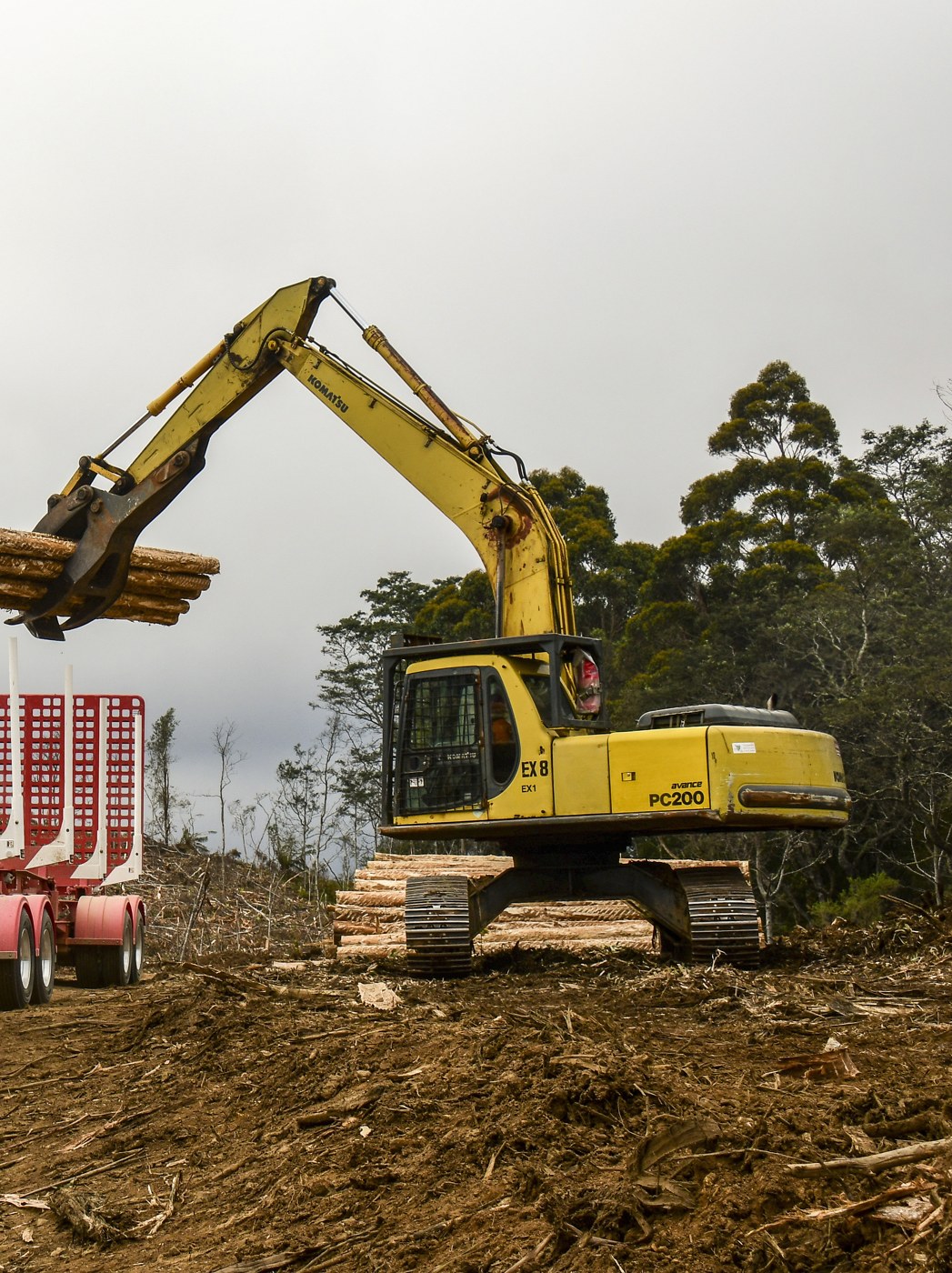 Fully Loaded Logger — Triple-H Contracting’s Kenworth T659 — archive photograph 2